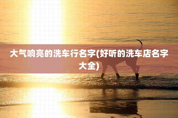 大气响亮的洗车行名字(好听的洗车店名字大全)