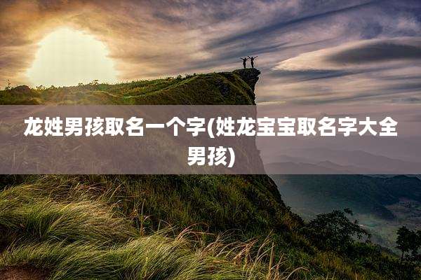 龙姓男孩取名一个字(姓龙宝宝取名字大全男孩)