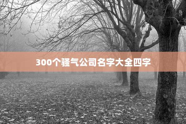 300个骚气公司名字大全四字