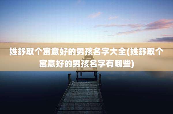 姓舒取个寓意好的男孩名字大全(姓舒取个寓意好的男孩名字有哪些)