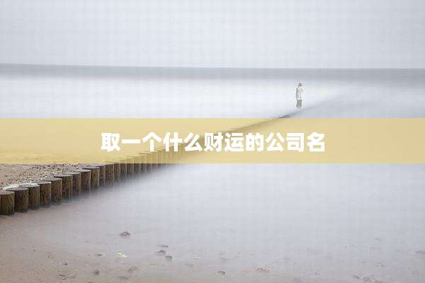 取一个什么财运的公司名