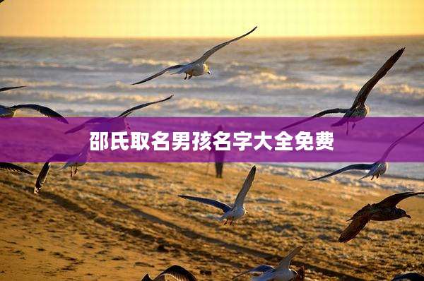 邵氏取名男孩名字大全免费
