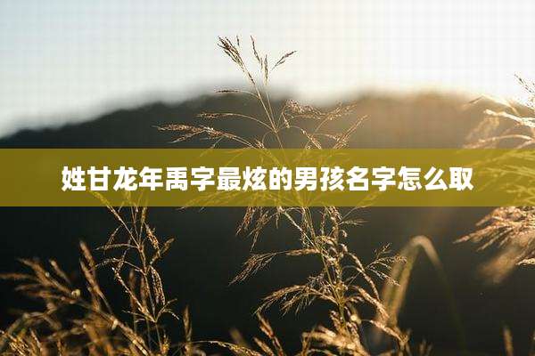 姓甘龙年禹字最炫的男孩名字怎么取