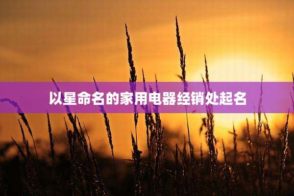 以星命名的家用电器经销处起名