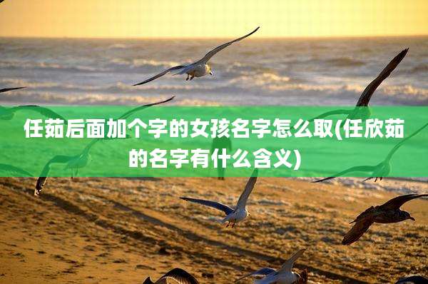 任茹后面加个字的女孩名字怎么取(任欣茹的名字有什么含义)
