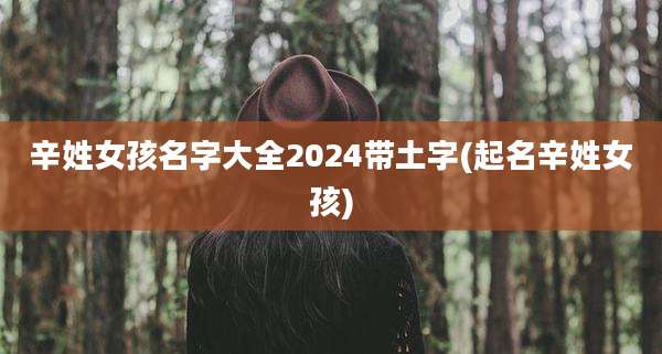 辛姓女孩名字大全2024带土字(起名辛姓女孩)