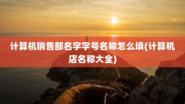 计算机销售部名字字号名称怎么填(计算机店名称大全)