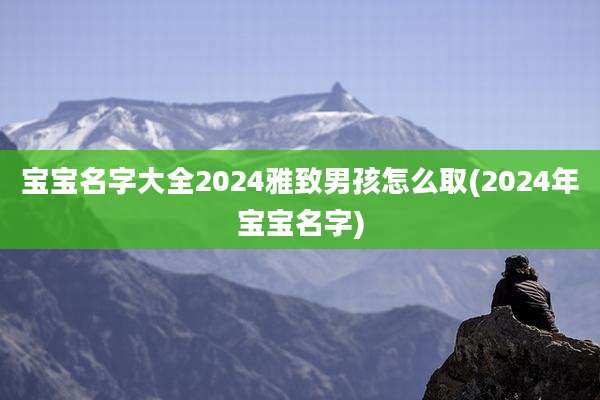 宝宝名字大全2024雅致男孩怎么取(2024年宝宝名字)