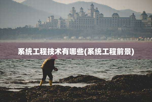 系统工程技术有哪些(系统工程前景)