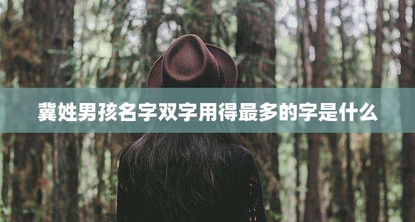 冀姓男孩名字双字用得最多的字是什么