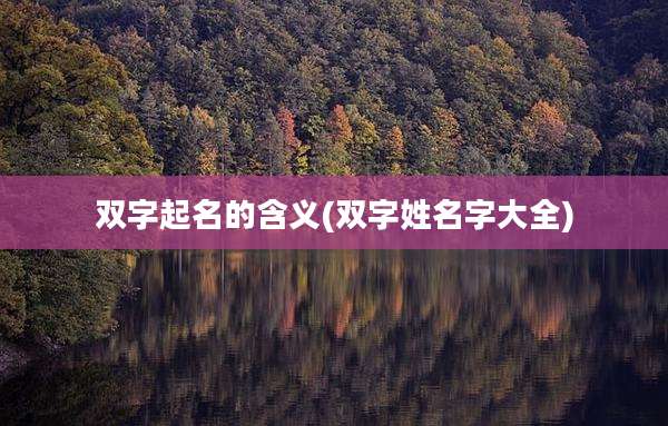 双字起名的含义(双字姓名字大全)