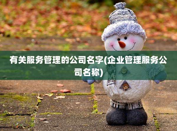 有关服务管理的公司名字(企业管理服务公司名称)