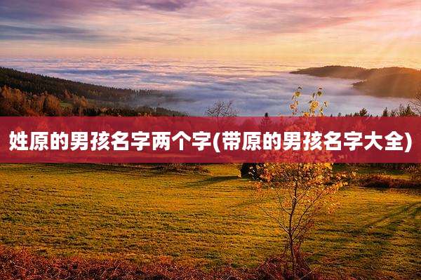 姓原的男孩名字两个字(带原的男孩名字大全)