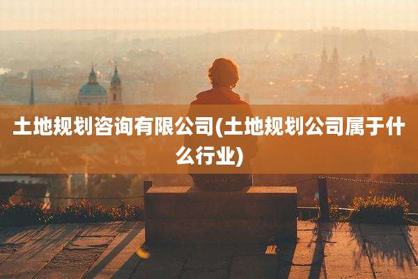 土地规划咨询有限公司(土地规划公司属于什么行业)
