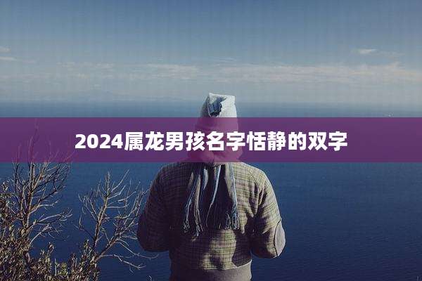 2024属龙男孩名字恬静的双字