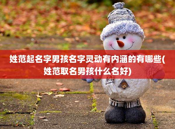 姓范起名字男孩名字灵动有内涵的有哪些(姓范取名男孩什么名好)