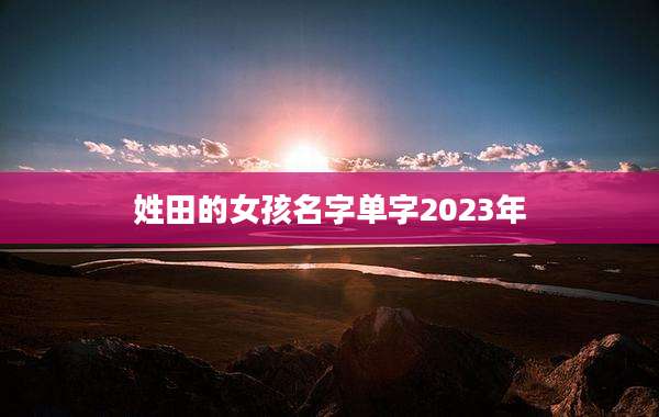 姓田的女孩名字单字2023年