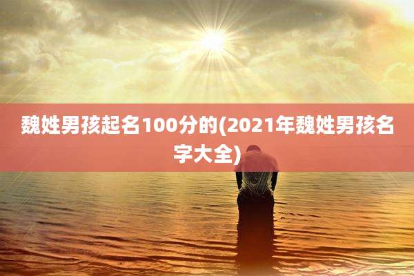 魏姓男孩起名100分的(2021年魏姓男孩名字大全)