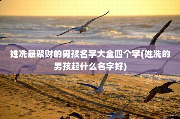 姓冼最聚财的男孩名字大全四个字(姓冼的男孩起什么名字好)