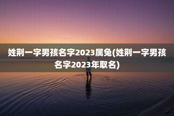 姓荆一字男孩名字2023属兔(姓荆一字男孩名字2023年取名)