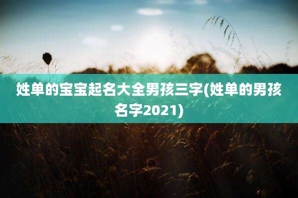 姓单的宝宝起名大全男孩三字(姓单的男孩名字2021)