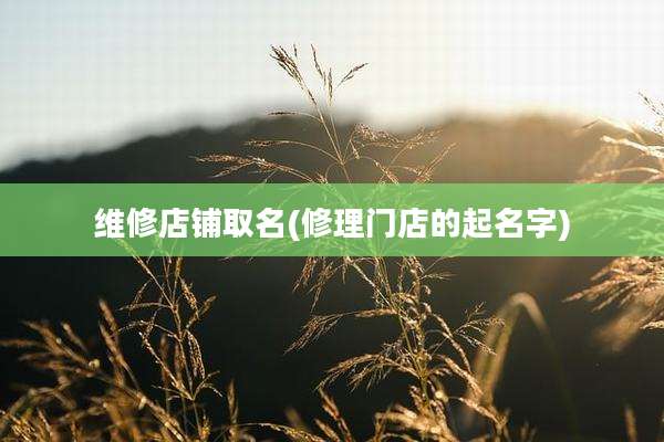维修店铺取名(修理门店的起名字)