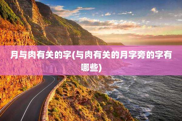 月与肉有关的字(与肉有关的月字旁的字有哪些)