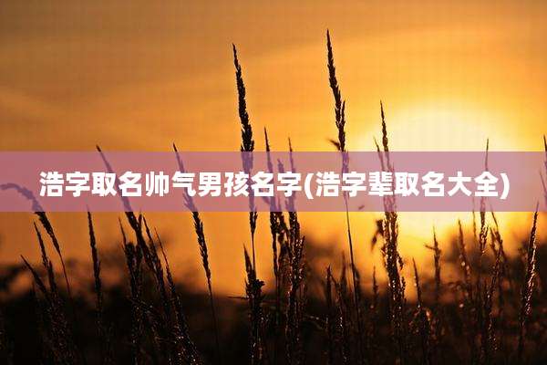 浩字取名帅气男孩名字(浩字辈取名大全)