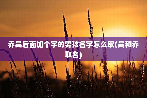 乔吴后面加个字的男孩名字怎么取(吴和乔取名)