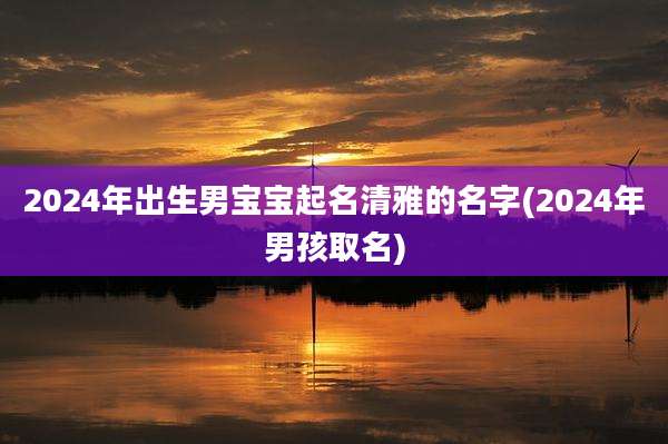2024年出生男宝宝起名清雅的名字(2024年男孩取名)