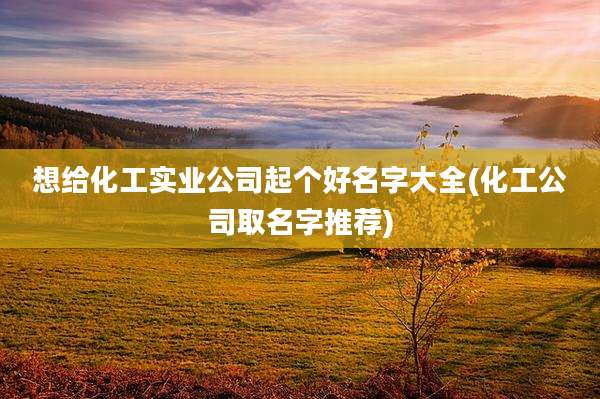 想给化工实业公司起个好名字大全(化工公司取名字推荐)