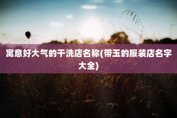 寓意好大气的干洗店名称(带玉的服装店名字大全)
