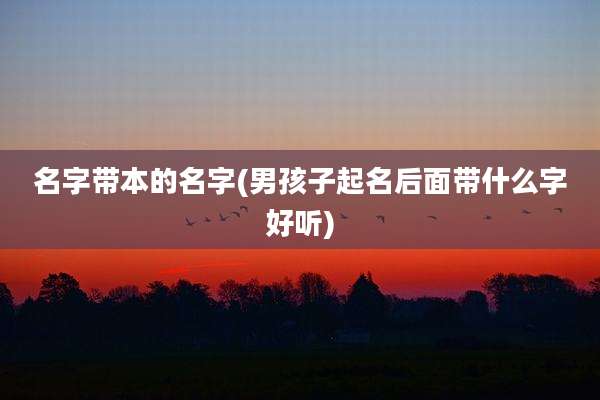 名字带本的名字(男孩子起名后面带什么字好听)