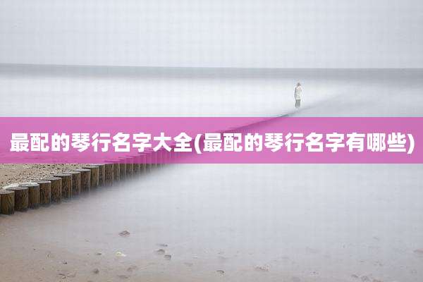 最配的琴行名字大全(最配的琴行名字有哪些)
