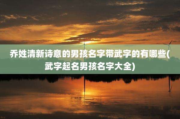乔姓清新诗意的男孩名字带武字的有哪些(武字起名男孩名字大全)