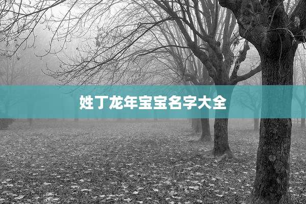 姓丁龙年宝宝名字大全