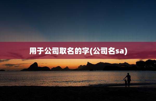 用于公司取名的字(公司名sa)