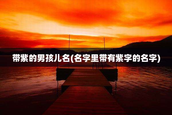 带紫的男孩儿名(名字里带有紫字的名字)