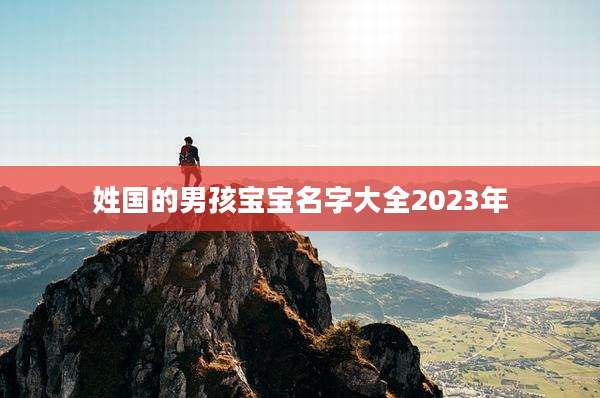 姓国的男孩宝宝名字大全2023年