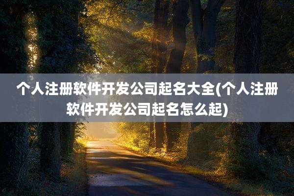 个人注册软件开发公司起名大全(个人注册软件开发公司起名怎么起)