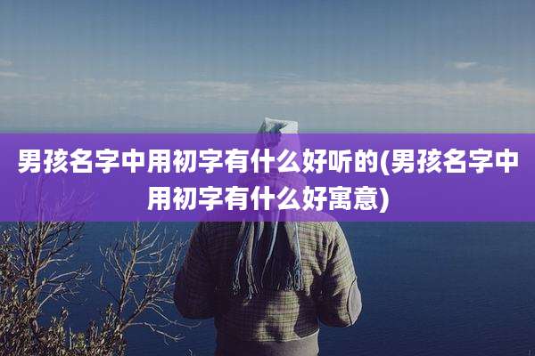 男孩名字中用初字有什么好听的(男孩名字中用初字有什么好寓意)