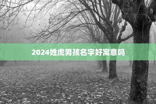 2024姓虎男孩名字好寓意吗