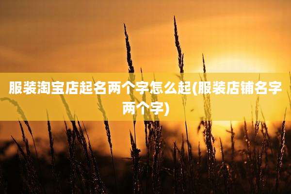 服装淘宝店起名两个字怎么起(服装店铺名字两个字)