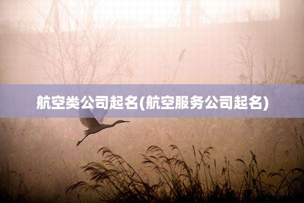 航空类公司起名(航空服务公司起名)