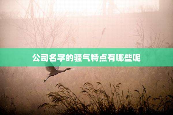 公司名字的骚气特点有哪些呢