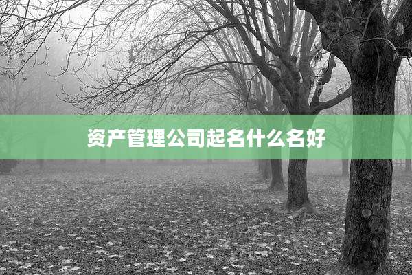 资产管理公司起名什么名好