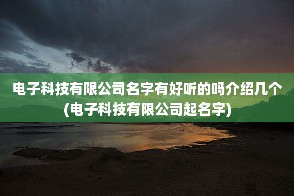 电子科技有限公司名字有好听的吗介绍几个(电子科技有限公司起名字)