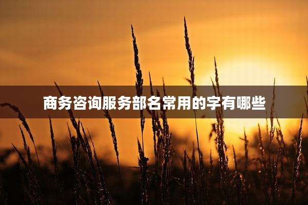 商务咨询服务部名常用的字有哪些