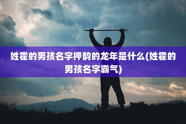 姓霍的男孩名字押韵的龙年是什么(姓霍的男孩名字霸气)
