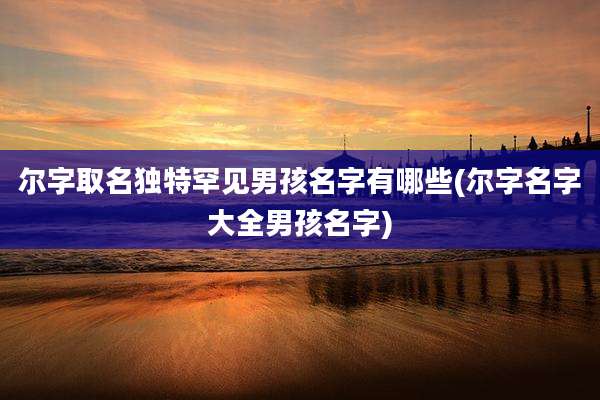尔字取名独特罕见男孩名字有哪些(尔字名字大全男孩名字)